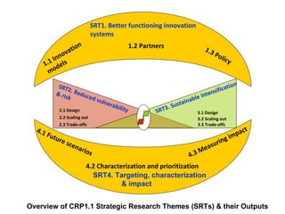 Research on sustainable intensification in the CGIAR research programs