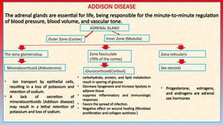 ADDISON disease in disease dog and cat , treatment | PPTX
