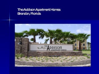 The Addison Apartment Homes Brandon, Florida 