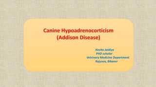 Canine Hypoadrenocorticism
(Addison Disease)
Kavita Jaidiya
PHD scholar
Vetrinary Medicine Department
Rajuvas, Bikaner
 