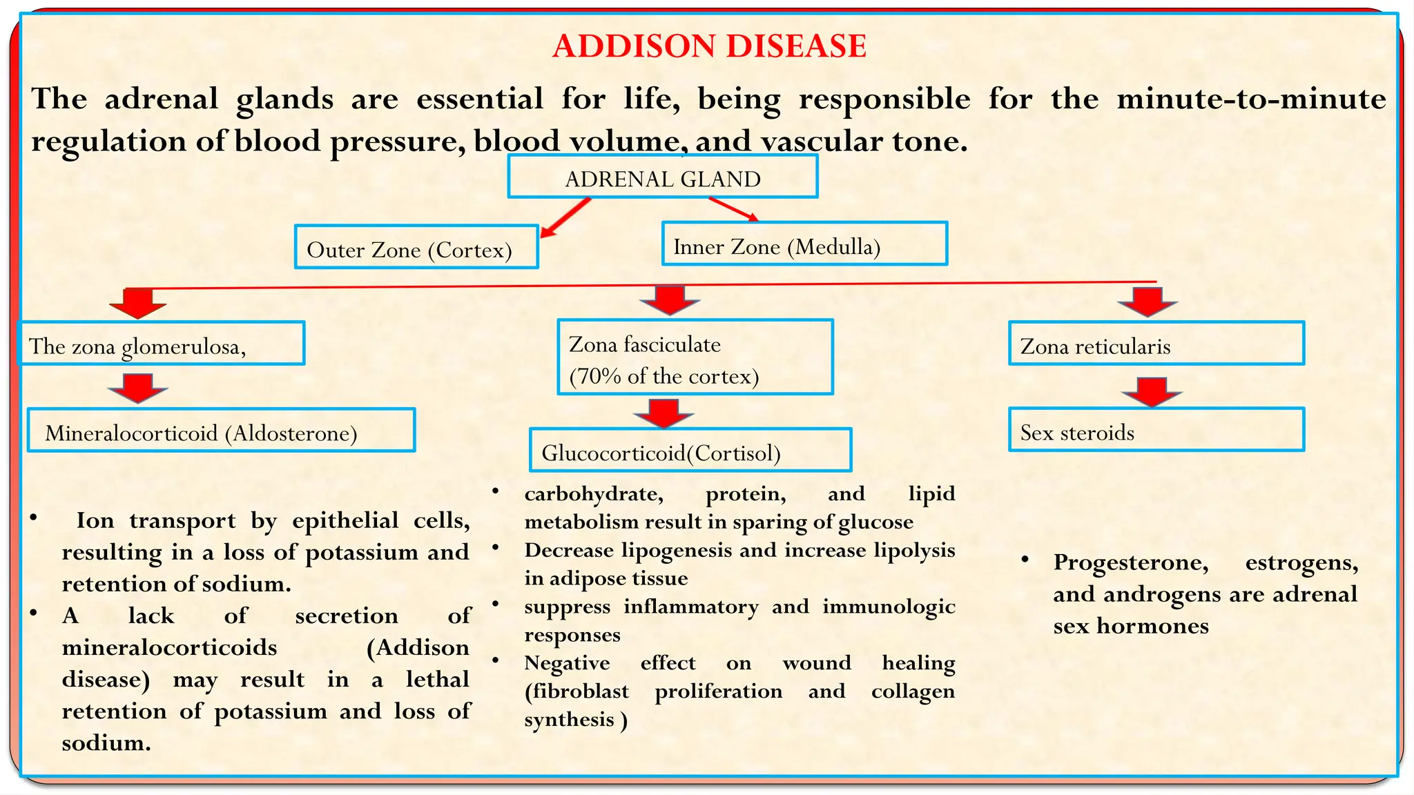 ADDISON disease of canine dr.kavita jaidiya | PPTX