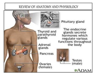 REVIEW OF ANATOMY AND PHYSIOLOGY
 