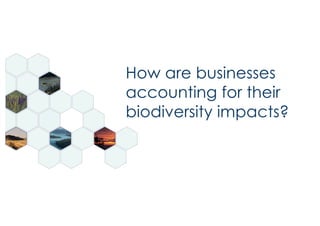 How are businesses
accounting for their
biodiversity impacts?
 