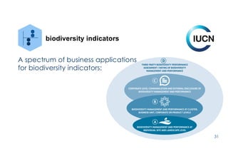 31
biodiversity indicators
A spectrum of business applications
for biodiversity indicators:
 
