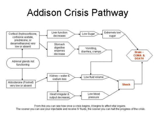 addisons and conn's.ppt