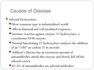 Addison’s disease | PPT