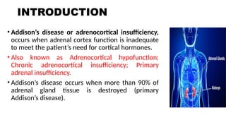 Addison's disease how to diagnose and treatment .pptx