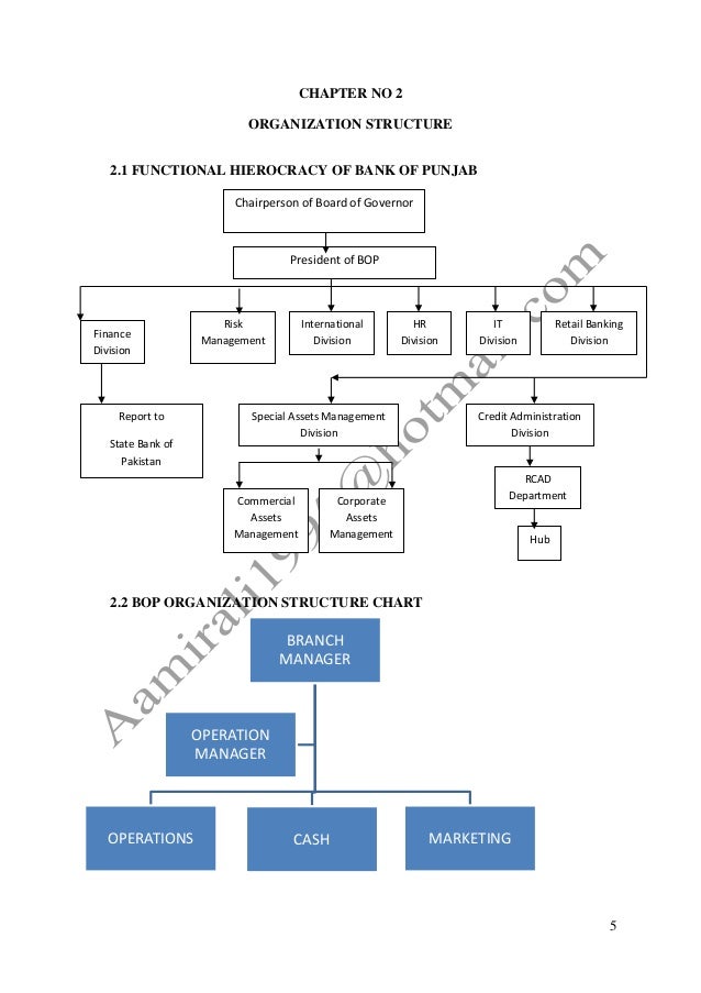 The Bank Of Punjab Latest Internship Report With Three Years Financia