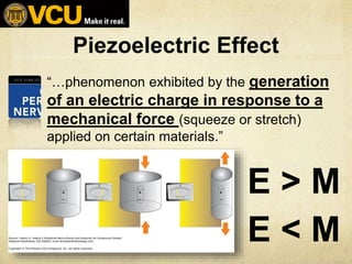 Piezoelectric Effect
“…phenomenon exhibited by the generation
of an electric charge in response to a
mechanical force (squ...