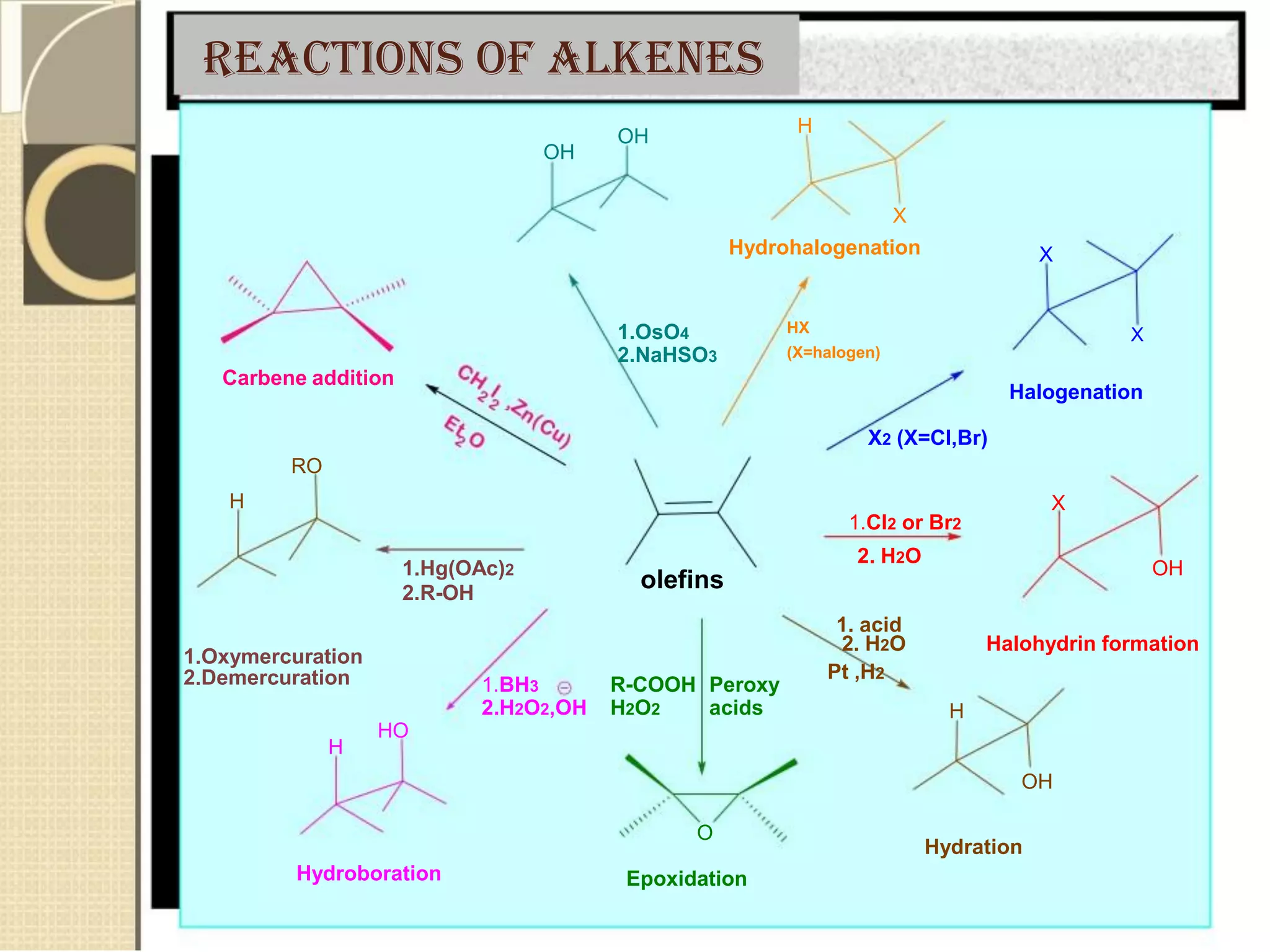 REACTIONS of ALKENES
OH
Carbene addition
RO
H
1.Hg(OAc)2
2.R-OH
OH
1.OsO4
2.NaHSO3
olefins
H
X
Hydrohalogenation
HX
(X=halogen)
X2 (X=Cl,Br)
1.Cl2 or Br2
2. H2O
1. acid
X
X
Halogenation
X
OH
1.Oxymercuration
2.Demercuration
HO
H
Hydroboration
1.BH3 R-COOH Peroxy
2.H2O2,OH H2O2 acids
O
Epoxidation
2. H2O Halohydrin formation
Pt ,H2
H
OH
Hydration
 