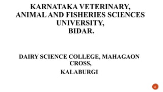 KARNATAKA VETERINARY,
ANIMALAND FISHERIES SCIENCES
UNIVERSITY,
BIDAR.
DAIRY SCIENCE COLLEGE, MAHAGAON
CROSS,
KALABURGI
2
 