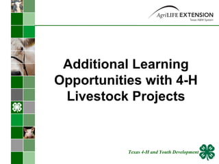 Additional Learning Opportunities with 4-H Livestock Projects Texas 4-H and Youth Development 