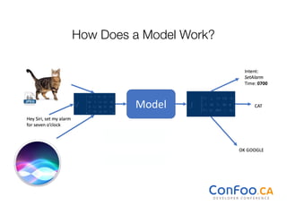 How Does a Model Work?
 