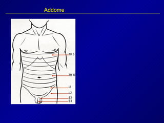 Addome
