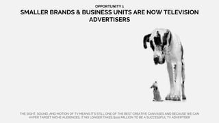 THE SIGHT, SOUND, AND MOTION OF TV MEANS IT’S STILL ONE OF THE BEST CREATIVE CANVASES AND BECAUSE WE CAN
HYPER TARGET NICHE AUDIENCES, IT NO LONGER TAKES $100 MILLION TO BE A SUCCESSFUL TV ADVERTISER
OPPORTUNITY 1
SMALLER BRANDS & BUSINESS UNITS ARE NOW TELEVISION
ADVERTISERS
 