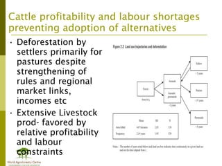 Addressing agric drivers of deforestation. sparing vs sharing p.minang