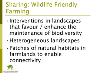 Addressing agric drivers of deforestation. sparing vs sharing p.minang