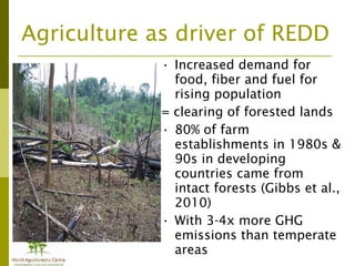 Addressing agric drivers of deforestation. sparing vs sharing p.minang