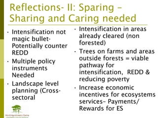 Addressing agric drivers of deforestation. sparing vs sharing p.minang