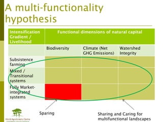 Addressing agric drivers of deforestation. sparing vs sharing p.minang