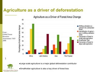 Addressing agric drivers of deforestation. sparing vs sharing p.minang