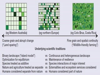 Addressing agric drivers of deforestation. sparing vs sharing p.minang