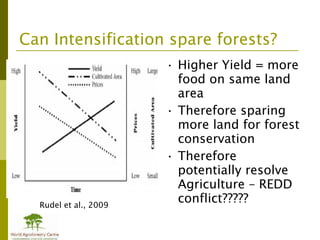 Addressing agric drivers of deforestation. sparing vs sharing p.minang