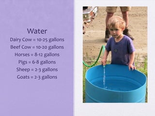 Water
Dairy Cow = 10-25 gallons
Beef Cow = 10-20 gallons
  Horses = 8-12 gallons
    Pigs = 6-8 gallons
   Sheep = 2-3 gallons
   Goats = 2-3 gallons
 