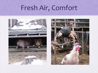 Fresh Air, Comfort
 