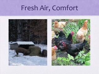 Fresh Air, Comfort
 