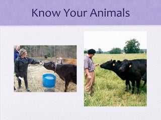 Know Your Animals
 