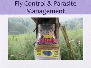 Fly Control & Parasite
     Management
 