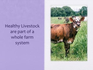 Healthy Livestock
  are part of a
  whole farm
     system
 