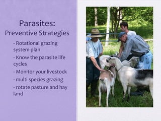 Parasites:
Preventive Strategies
 - - Rotational grazing
   system plan
 - - Know the parasite life
   cycles
 - - Monitor your livestock
 - - multi species grazing
 - - rotate pasture and hay
   land
 