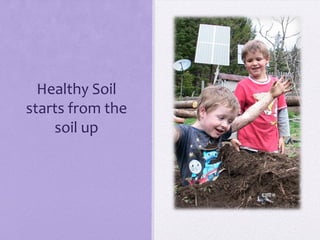 Healthy Soil
starts from the
    soil up
 