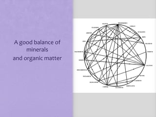A good balance of
     minerals
and organic matter
 