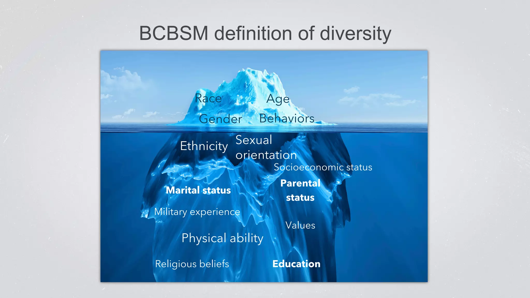 BCBSM definition of diversity 
Race 
Gender 
Age 
Behaviors 
Ethnicity 
Sexual 
orientation 
Marital status 
Military experience 
Physical ability 
Socioeconomic status 
Values 
Religious beliefs 
Parental 
status 
Education 
 