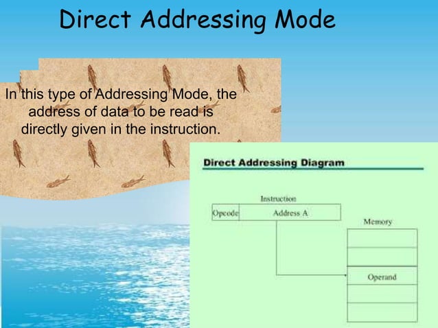 Addressing mode | PPT