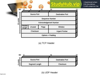 TCP and UDP Headers
 