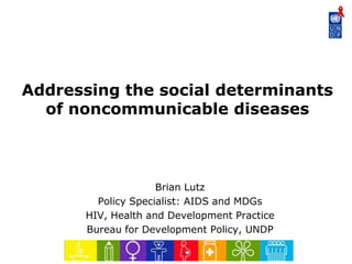 Addressing the social determinants
of noncommunicable diseases

Brian Lutz
Policy Specialist: AIDS and MDGs
HIV, Health and Development Practice
Bureau for Development Policy, UNDP

 