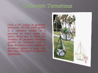 Grow a DIY garden in geometric
terrariums. The DIY bottle garden
is a container similar to a
terrarium in which plants are
grown. Being easy to create and
maintain, the geometric terrarium
gardens are commonly used of
home decoration, or as a miniature
decoration garden in areas with
little space, like patios or high rise
apartments...
 