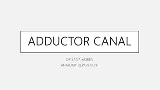 ADDUCTOR CANAL
DR SANA YASEEN
ANATOMY DEPARTMENT
 