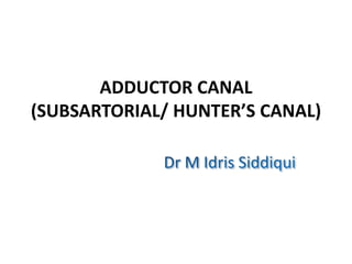 ADDUCTOR CANAL
(SUBSARTORIAL/ HUNTER’S CANAL)
 