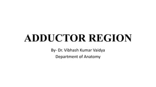ADDUCTOR REGION
By- Dr. Vibhash Kumar Vaidya
Department of Anatomy
 