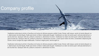 Company profile
Vestibulum ante ipsum primis in faucibus orci luctus et ultrices posuere cubilia Curae; Donec velit neque, auctor sit amet aliquam ve
l, ullamcorper sit amet ligula. Nulla quis lorem ut libero malesuada feugiat. Vestibulum ac diam sit amet quam vehicula elementum s
ed sit amet dui. Quisque velit nisi, pretium ut lacinia in, elementum id enim. Vestibulum ac diam sit amet quam vehicula elementum
sed sit amet dui. Quisque velit nisi, pretium ut lacinia in, elementum id enim. Lorem ipsum dolor sit amet, consectetur adipiscing elit.
Donec rutrum congue leo eget malesuada. Vivamus magna justo, lacinia eget co.
Vestibulum ante ipsum primis in faucibus orci luctus et ultrices posuere cubilia Curae; Donec velit neque, auctor sit amet aliquam ve
l, ullamcorper sit amet ligula. Nulla quis lorem ut libero malesuada feugiat. Vestibulum ac diam sit amet quam vehicula elementum s
ed sit amet dui. Quisque velit nisi, pretium ut lacinia in, elementum id enim.
 