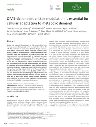 Article
OPA1-dependent cristae modulation is essential for
cellular adaptation to metabolic demand
David A Patten1
, Jacob Wong1
, Mireille Khacho1
, Vincent Soubannier2
, Ryan J Mailloux3
,
Karine Pilon-Larose1
, Jason G MacLaurin1
, David S Park1
, Heidi M McBride2
, Laura Trinkle-Mulcahy1
,
Mary-Ellen Harper3
, Marc Germain4,**
& Ruth S Slack1,*
Abstract
Cristae, the organized invaginations of the mitochondrial inner
membrane, respond structurally to the energetic demands of the
cell. The mechanism by which these dynamic changes are regu-
lated and the consequences thereof are largely unknown. Optic
atrophy 1 (OPA1) is the mitochondrial GTPase responsible for inner
membrane fusion and maintenance of cristae structure. Here, we
report that OPA1 responds dynamically to changes in energetic
conditions to regulate cristae structure. This cristae regulation is
independent of OPA1’s role in mitochondrial fusion, since an OPA1
mutant that can still oligomerize but has no fusion activity was
able to maintain cristae structure. Importantly, OPA1 was required
for resistance to starvation-induced cell death, for mitochondrial
respiration, for growth in galactose media and for maintenance of
ATP synthase assembly, independently of its fusion activity. We
identified mitochondrial solute carriers (SLC25A) as OPA1 interac-
tors and show that their pharmacological and genetic blockade
inhibited OPA1 oligomerization and function. Thus, we propose a
novel way in which OPA1 senses energy substrate availability,
which modulates its function in the regulation of mitochondrial
architecture in a SLC25A protein-dependent manner.
Keywords ATP synthase; cristae; mitochondria; OPA1; SLC25A
Subject Categories Membrane & Intracellular Transport; Metabolism
DOI 10.15252/embj.201488349 | Received 27 February 2014 | Revised 28
August 2014 | Accepted 29 August 2014 | Published online 8 October 2014
The EMBO Journal (2014) 33: 2676–2691
Introduction
Mitochondria are vital to a number of important cell functions
including energy production through oxidative phosphorylation
(OXPHOS), calcium buffering and apoptotic signalling. These
dynamic organelles constantly modify their architecture and
undergo fission and fusion. Mitochondrial fusion is mediated by the
two outer membrane mitofusins (MFN1 and MFN2) (Chen et al,
2003) and the inner membrane optic atrophy 1 (OPA1) (Meeusen
et al, 2006). Mitochondrial fusion and fission are important
processes for cell survival during a variety of stressors (Tondera
et al, 2009; Gomes et al, 2011) and are dysregulated or disrupted in
a number of human pathologies (Alexander et al, 2000; Delettre
et al, 2000; Zuchner et al, 2004). Mitochondria also undergo inter-
nal cristae changes. Cristae, being invaginations of the inner
membrane, form internal compartments which are connected to the
inner boundary membrane (IBM) by tight cristae junctions. Cristae
possess different proteins than the IBM arguing that they are func-
tionally distinct compartments (Vogel et al, 2006; Wurm & Jakobs,
2006). Tight cristae, and their junctions, may restrict diffusion of
small molecules and membrane proteins into and out of cristae
(Mannella, 2006b; Sukhorukov & Bereiter-Hahn, 2009).
Changes in inner membrane topology have been documented
during apoptosis, as cristae junction widening is required to mobi-
lize cytochrome c stores for release upon outer membrane permeabi-
lization (Scorrano et al, 2002; Germain et al, 2005; Frezza et al,
2006). Cristae structural changes during non-cell death stimuli have
also been reported for many decades, but their regulation and func-
tion remain elusive. For example, isolated liver mitochondria
display different reversible ultrastructure conformations according
to their energetic state (Hackenbrock, 1966). Hackenbrock named
these two states orthodox and condensed, where condensed mito-
chondria have a compacted matrix with enlarged cristae and
orthodox mitochondria have a less dense matrix with compacted
cristae. Similarly, starvation increases mitochondrial length and the
number of cristae (Gomes et al, 2011), suggesting that mitochondria
regulate their shape to adjust their activity with metabolic condi-
tions (Mannella, 2006a). Furthermore, it was recently shown that
cristae shape regulates respiration through the assembly of respira-
tory chain supercomplexes (Cogliati et al, 2013).
In addition to fusion, OPA1 and Mgm1, the yeast homologue
of OPA1, are required for cristae structure as their disruption
1 Department of Cellular & Molecular Medicine, University of Ottawa, Ottawa, ON, Canada
2 Montreal Neurological Institute, McGill University, Montreal, QC, Canada
3 Department of Biochemistry, Microbiology & Immunology, University of Ottawa, Ottawa, ON, Canada
4 Département de Biologie Médicale, Université du Québec à Trois-Rivières, Trois-Rivières, QC, Canada
*Corresponding author. Tel: +1 613 562 5800; E-mail: rslack@uottawa.ca
**Corresponding author. Tel: +1 819 376 5011 x3330; E-mail: marc.germain1@uqtr.ca
The EMBO Journal Vol 33 | No 22 | 2014 ª 2014 The Authors2676
Published online: October 8, 2014
 
