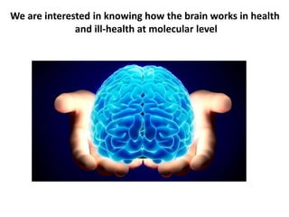 We are interested in knowing how the brain works in health
and ill-health at molecular level
 