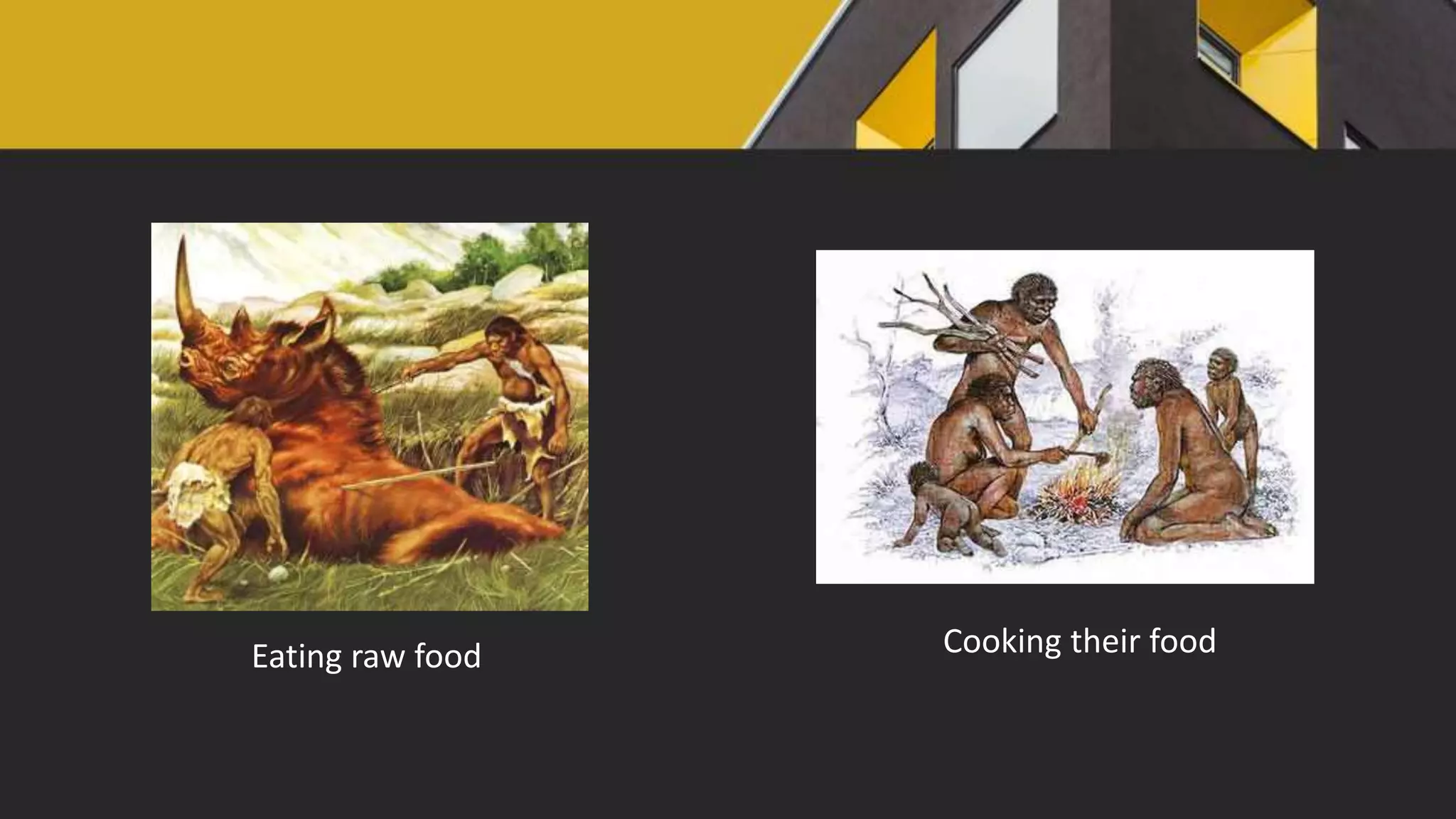 Eating raw food Cooking their food
 