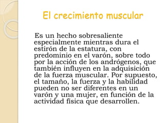 El crecimiento muscular
Es un hecho sobresaliente
especialmente mientras dura el
estirón de la estatura, con
predominio en el varón, sobre todo
por la acción de los andrógenos, que
también influyen en la adquisición
de la fuerza muscular. Por supuesto,
el tamaño, la fuerza y la habilidad
pueden no ser diferentes en un
varón y una mujer, en función de la
actividad física que desarrollen.
 