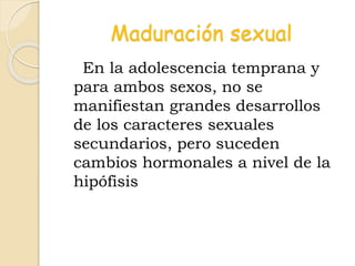 Maduración sexual
En la adolescencia temprana y
para ambos sexos, no se
manifiestan grandes desarrollos
de los caracteres sexuales
secundarios, pero suceden
cambios hormonales a nivel de la
hipófisis
 
